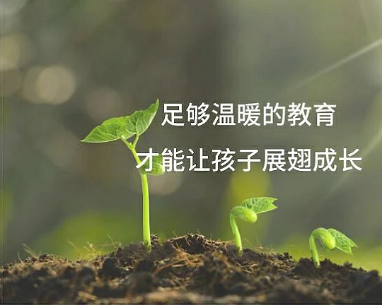 兒童自閉癥怎么辦，兒童心理咨詢沙盤游戲案例