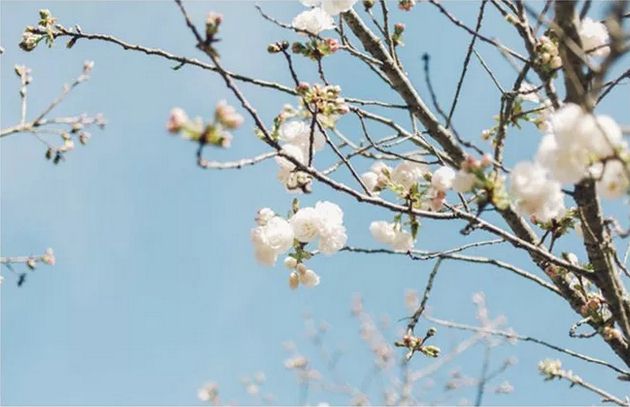 夫妻感情好不好，全藏在這件小事里！